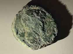 IMG_0851-compressed.jpeg