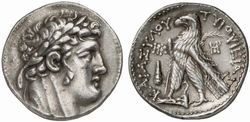 617905.jpg