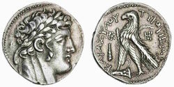 11516313.jpg