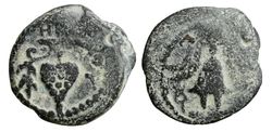 Judaea_Prutah_Herod II Archelaos.jpg