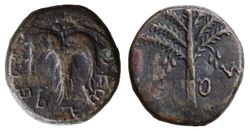 Judaea_Ae25_Bar Kochba.jpg