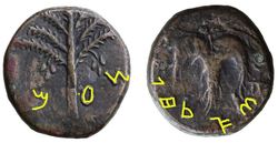 (8) Judaea_Ae25_Bar Kochba_2.jpg