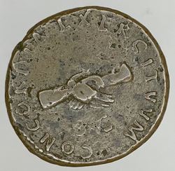 Nerva-Rev copy.jpg