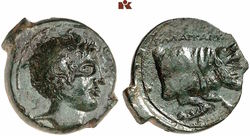 5751750 5,62g.jpg