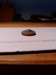 IMG_20250707_174824.jpg