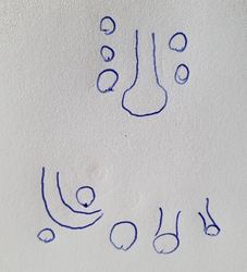 20250711_130155.jpg