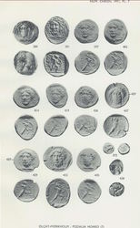 Plate 7.jpg