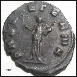 1089 GallienusR.jpg