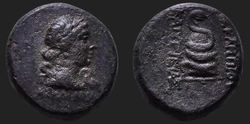 Mysien – Pergamon ca. 133 - 130 v. Chr. Æ 16 mm, 4,24 g klein.jpg