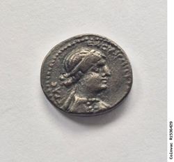 1536429_.jpg