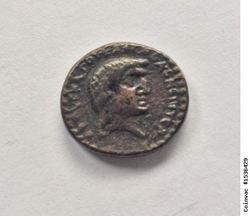 1536429_1.jpg