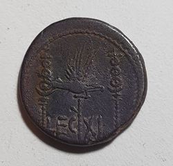 20250721_191543.jpg