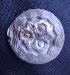 20250731_205254.jpg