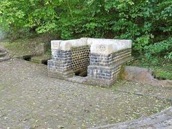 Gruener_Puetz.jpg