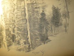 IMG_4817.jpg
