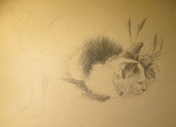 IMG_4822.jpg