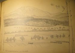 IMG_4827.jpg