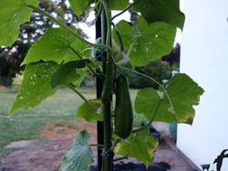 DSC00744.JPG