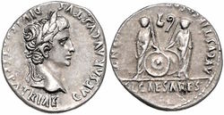 12691820 3,12g.jpg