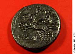 1719551_.jpg