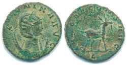 Salonina-Aug-Hirsch.jpg