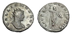gallienus_leg_xxx.jpg