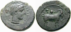 195941.jpg