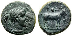 1160974 gut.jpg