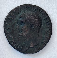 Drusus AV.jpg