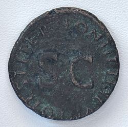 Drusus RV.jpg