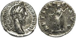 Laetitia_Commodus_201.jpg