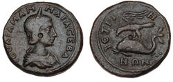 11976919 11,05g.jpg