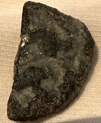 IMG_7620.jpeg