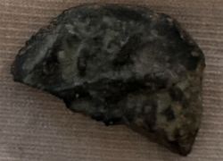 IMG_7621.jpeg