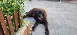 20250908_180906_Easy-Resize.com.jpg