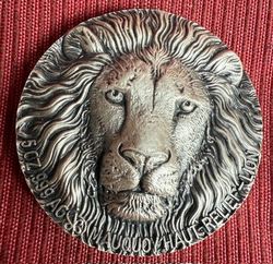 BigFive_Löwe_2016_1.jpg