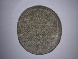 forum9-1.JPG