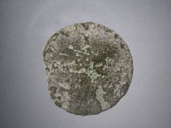 forum12-1.JPG