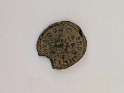 PXL_20250923_071224874.MACRO_FOCUS.jpg