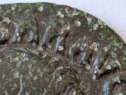 PXL_20250926_143137092.jpg (83.17 KiB) 404 mal betrachtet PXL_20250926_143137092.jpg