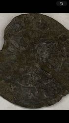 IMG_7933.jpeg