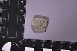 D72_9131.JPG