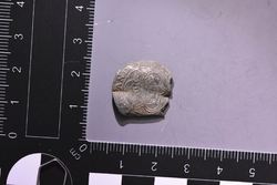 D72_9132.JPG
