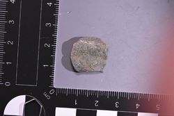 D72_9133.JPG