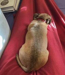 IMG_0963.jpeg