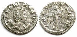 salonina_ivn.jpg
