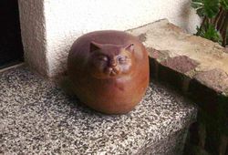 DSCI0084 - Kopie (4).JPG