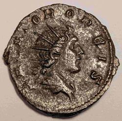 PXL_20251110_213028583 (1).jpg