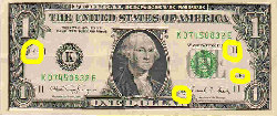 Dollar_1.jpg