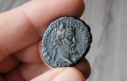 Septimius Severus Alexandria.jpg